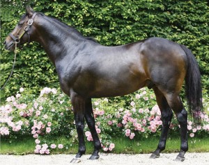 SOLDIER OF FORTUNE_big