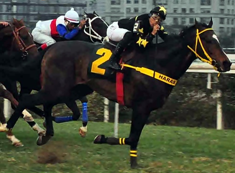 American Stormpost05