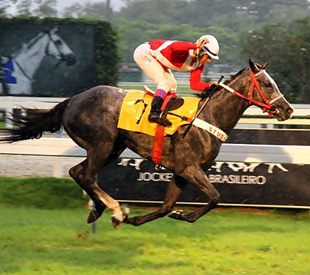Estrela Monarchospost21