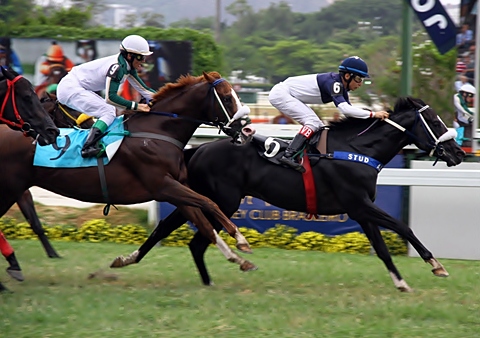 Desejado Put Chegada 16