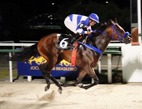 Maeght Chegada post25