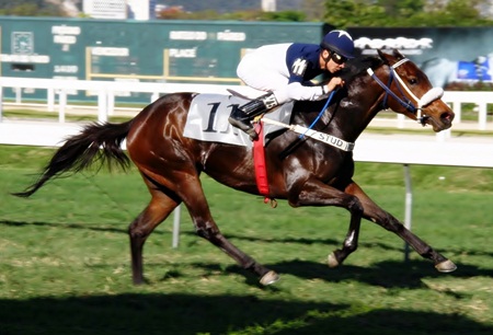STpost