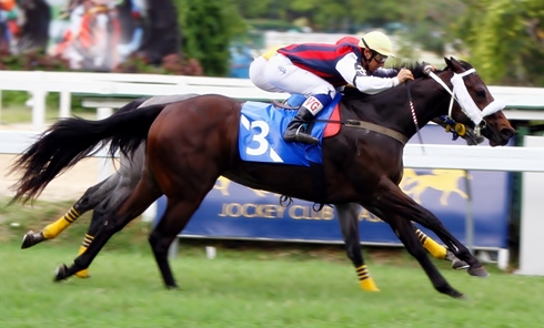 COPpost10