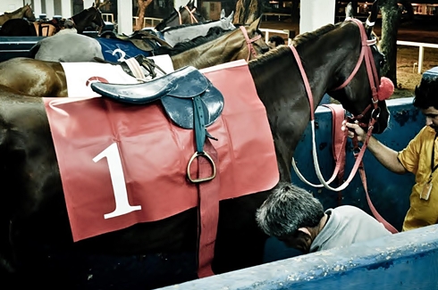 Estreantespost2