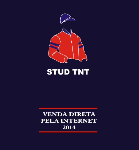 tnt 2014