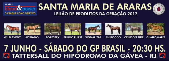 LEILAO070614