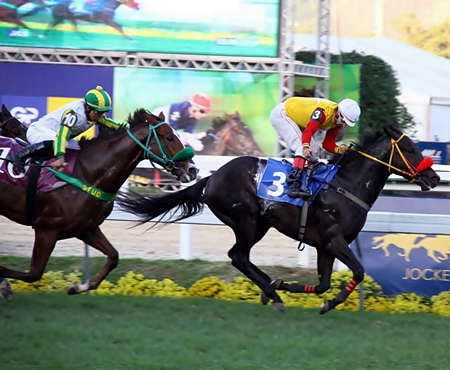 aqpost8
