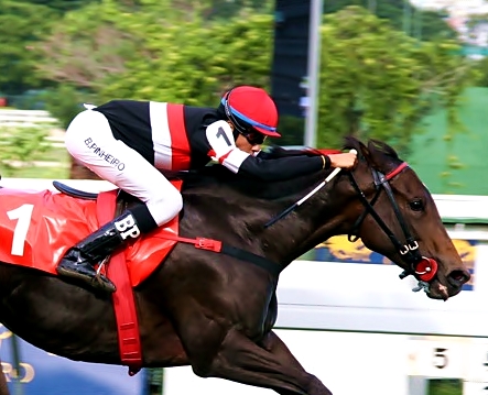 BPinheirospost23