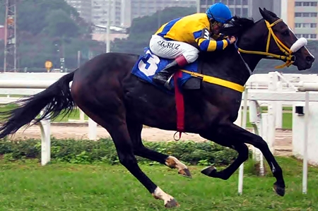 Sib Racingpost