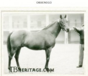 Orsenigo