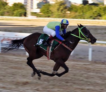 Victory Hallpost14