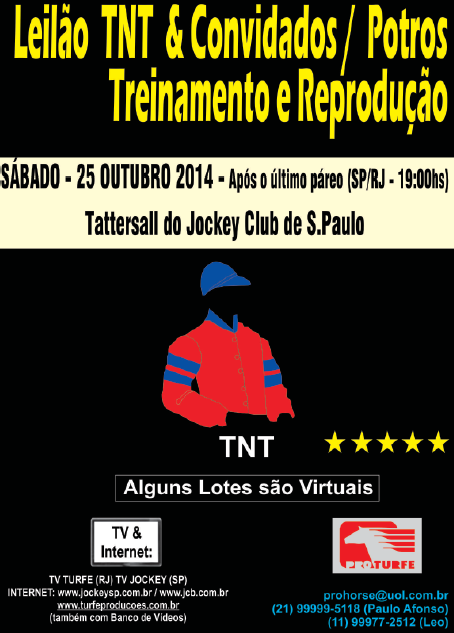 leilao tnt