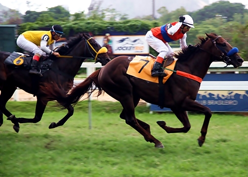 Cambiodesligo Chegada 30