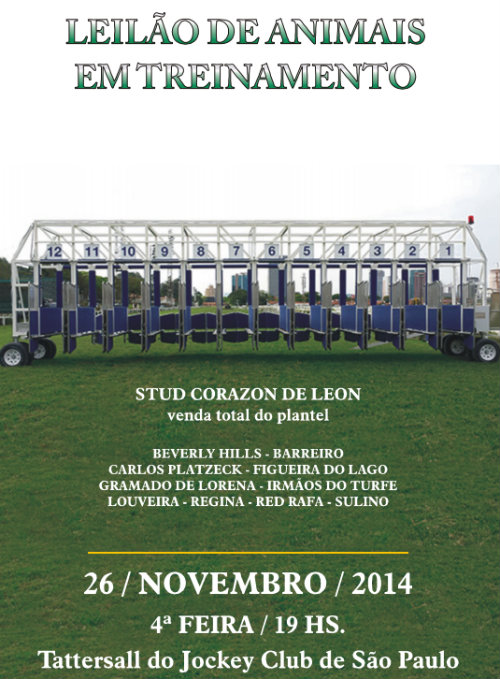 LEILAO 261114
