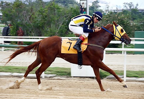 Castellano