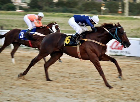 Ponamariovpost18