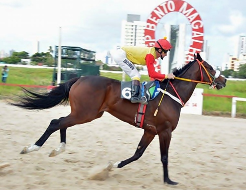 Uno Prospector