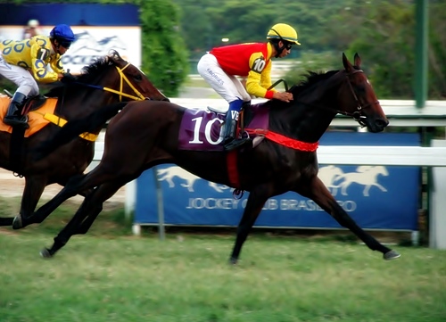 Batuaregood Chegada