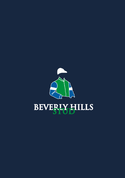 stud Berverly Hills