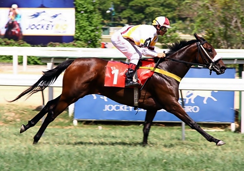 Alta Performance Chegada post9