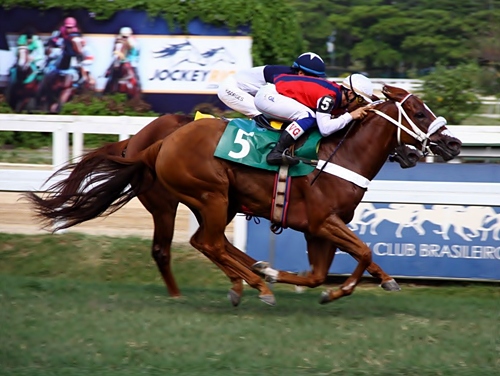 Blind Ambition Chegada post