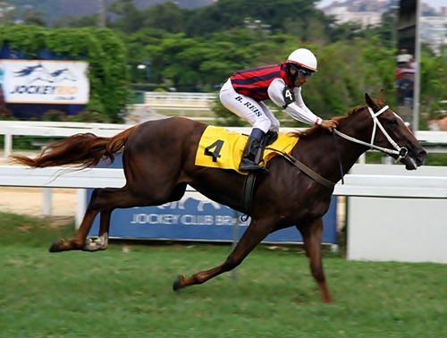 Danza Chegada post7