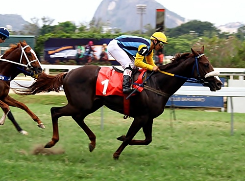 Quinhao chegada