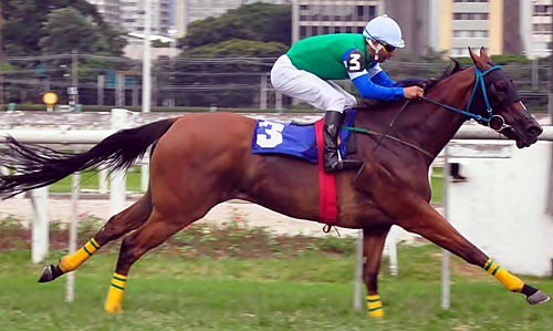 Little Diamant post