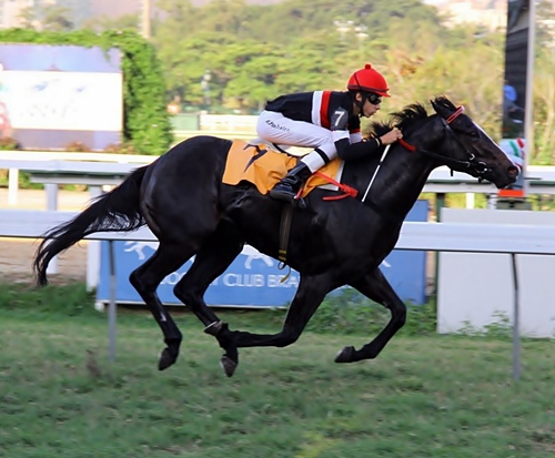 Danton Chegada
