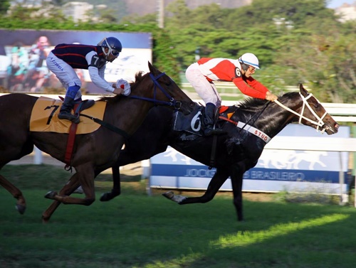 Genial Storm Chegada