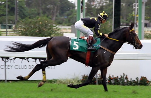 American Storm Chegada 20