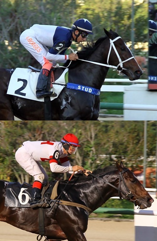 BorgesGoncalves09