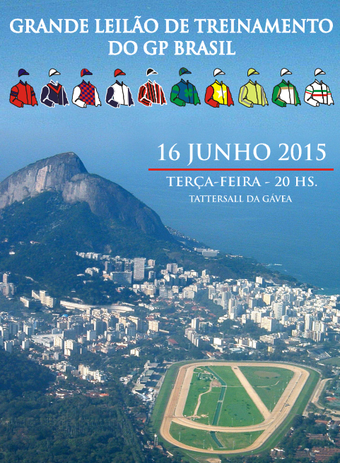 GP BRASIL LEILAO