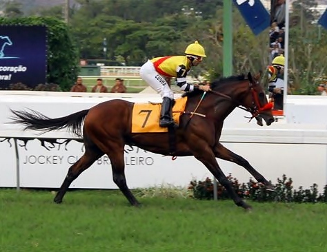 Hayato Chegada