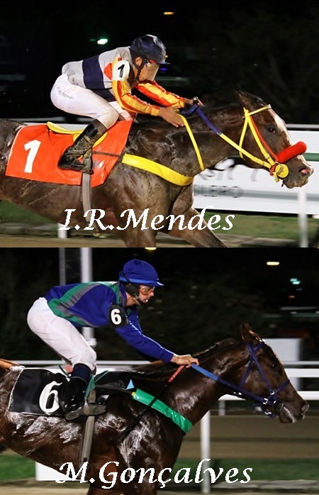 IRMendesGoncalves