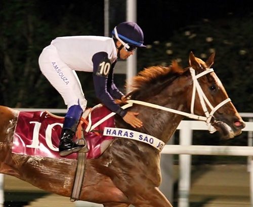 AMSouzapost11