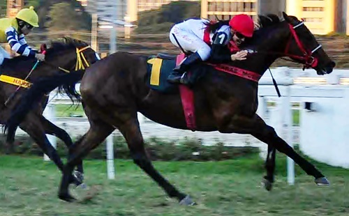 Barao da Serra post03