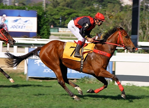 Buena Giusta Chegada 28