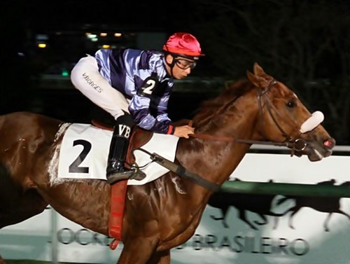 Cartola Chegada 18