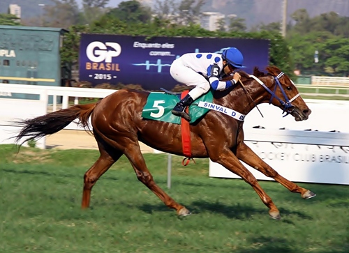 Gigante de Ouro Chegada 27