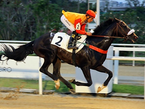 LHenriquepost09