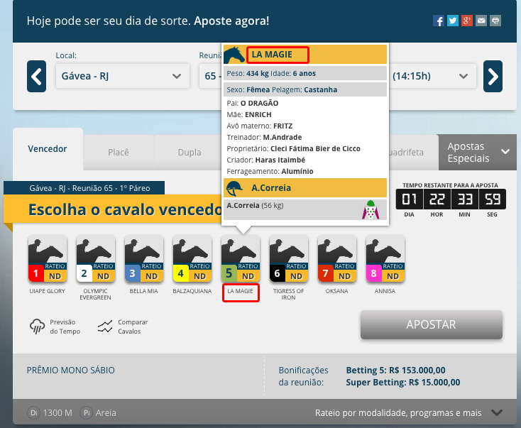 imagem10
