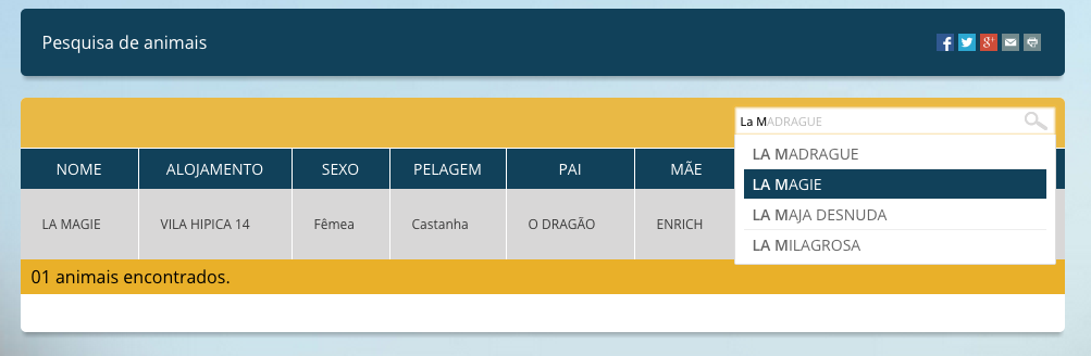 imagem11