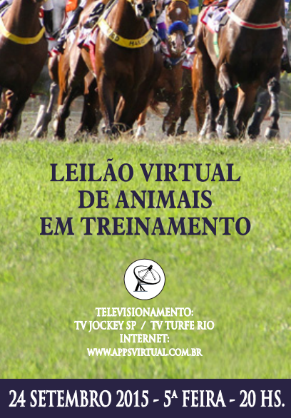 leilao virtual
