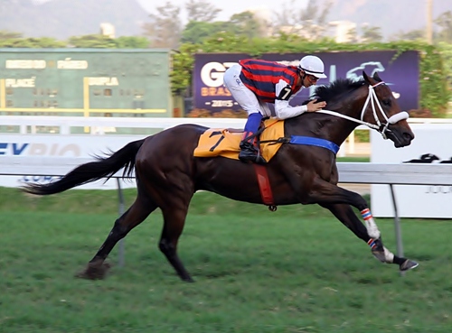Daniel Boone Chegada 11