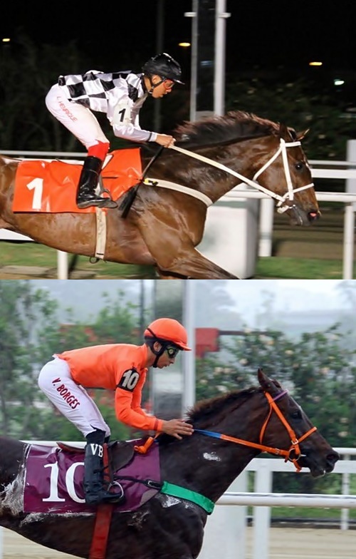 LHenriqueVBorges20