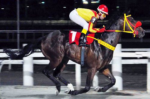 Olympic Emirates post15