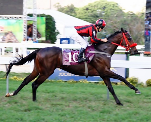 Caballo de Hierro Chegada 5