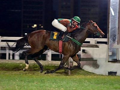 Champion-Star-post03b