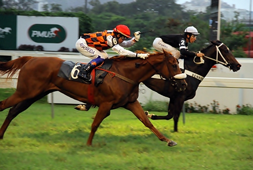 Senhora Olimpia Chegada 15